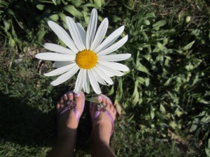 My feet in Brazilian soil with my favorite flower