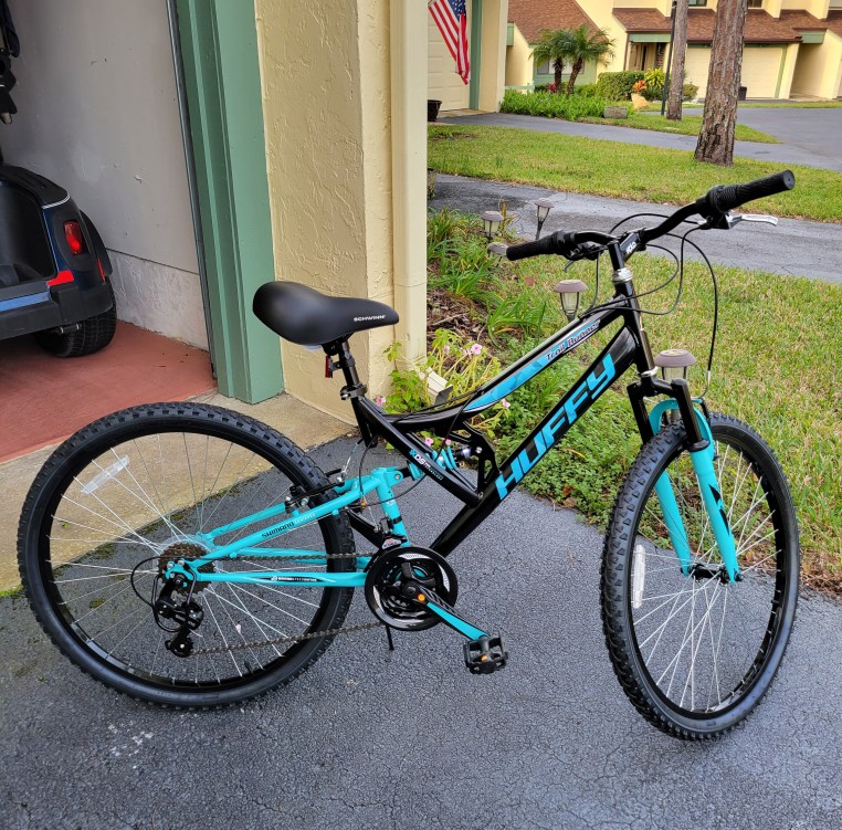 My black and blue beauty